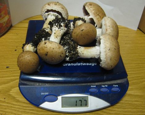 Click on the photo for the original