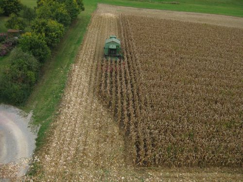 Click on the photo for the original