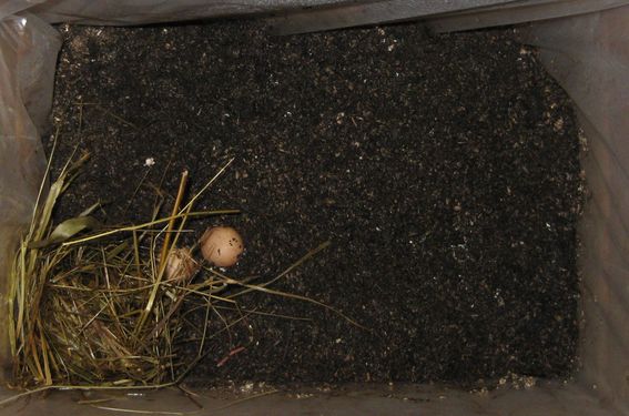 Click on the photo for the original