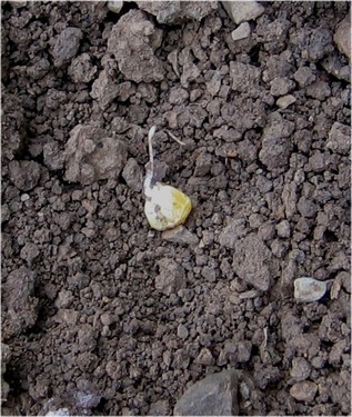 Click on the photo for the original