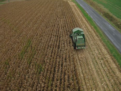 Click on the photo for the original