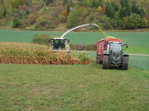 Click on the photo for the original