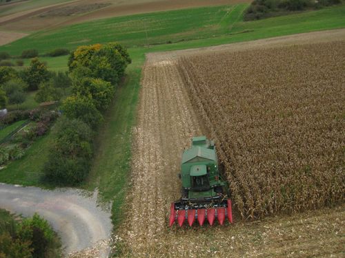 Click on the photo for the original