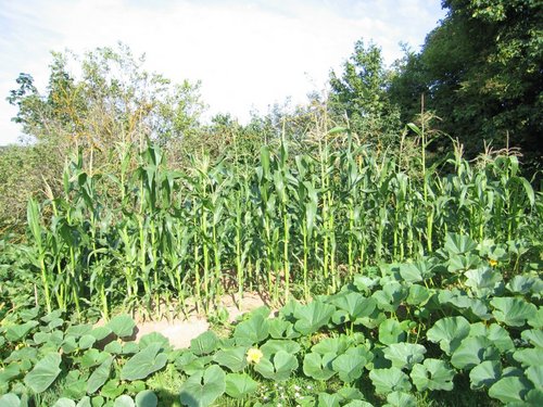 Click on the photo for the original