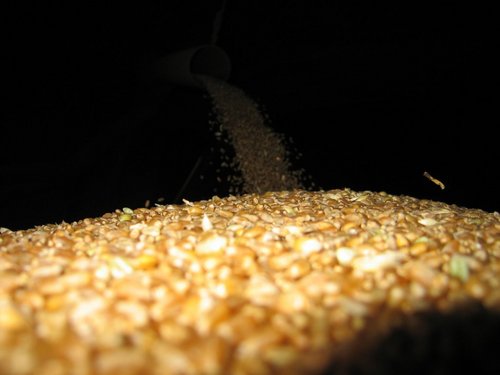 Click on the photo for the original