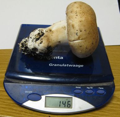 Click on the photo for the original