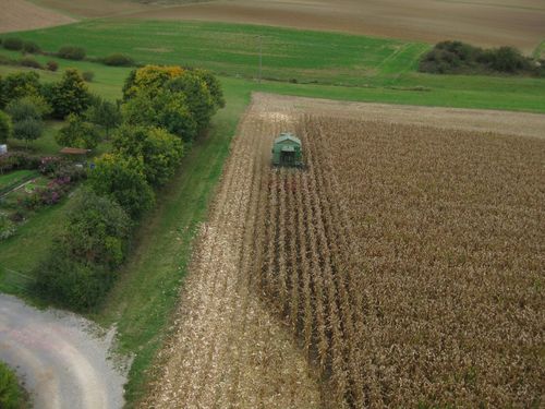 Click on the photo for the original