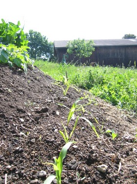 Click on the photo for the original