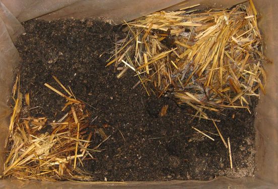 Click on the photo for the original