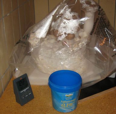 Click on the photo for the original