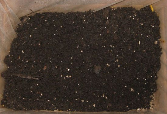 Click on the photo for the original