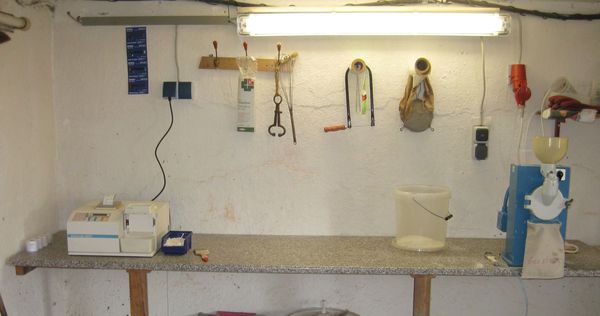 Click on the photo for the original