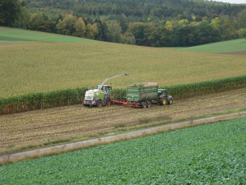 Click on the photo for the original