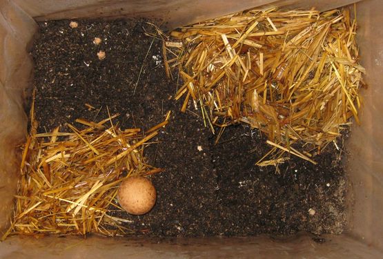 Click on the photo for the original