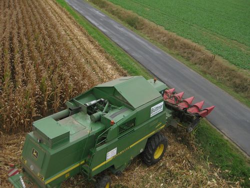 Click on the photo for the original