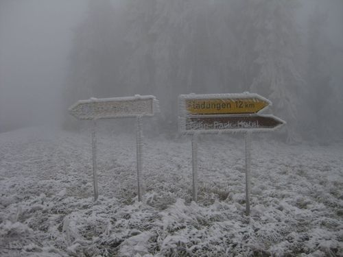 Click on the photo for the original