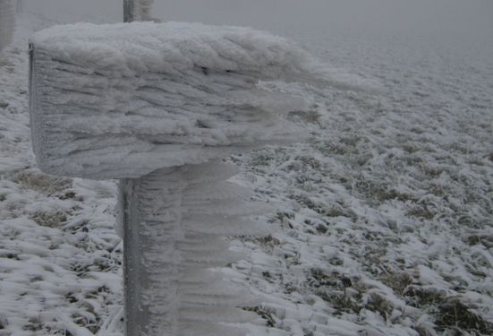 Click on the photo for the original