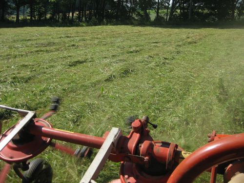 Click on the photo for the original