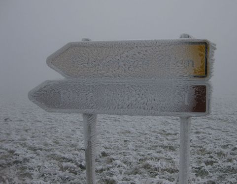 Click on the photo for the original