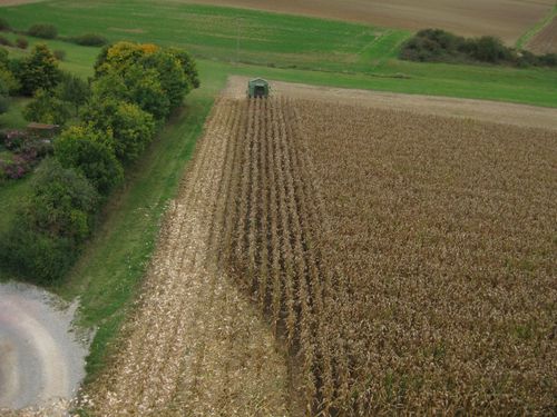 Click on the photo for the original