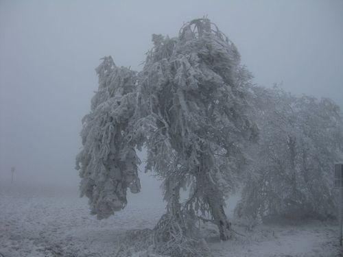 Click on the photo for the original